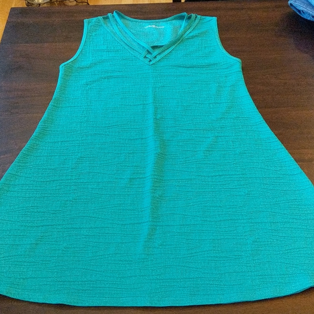 Blue Tank